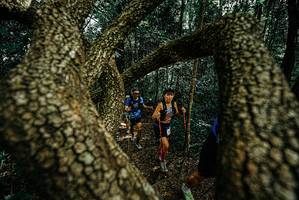 BIB: 
                            <button type="button" onclick="openModal(25701536)" class="btn btn-primary btn-sm float-right btn-popup" data-toggle="modal" data-target=".modal-high-quality">
                        <i class="fas fa-shopping-cart"></i> Add to Cart
                    </button>
                                            <button type="button" onclick="isThisMe(25701536, true)" class="btn btn-success btn-sm float-right btn-popup btn-isme hidden" data-toggle="tooltip" data-placement="bottom" title="นี่คือรูปของคุณใช่ไหม คลิกที่นี่เพื่อเอาเข้าอัลบั้ม">
                        <i class="fas fa-plus"></i> Add to album
                    </button>
                    <button type="button" onclick="isThisMe(25701536, false)" class="btn btn-warning btn-sm float-right btn-popup btn-isnotme hidden">
                        <i class="fas fa-ban"></i> Remove from album
                    </button>